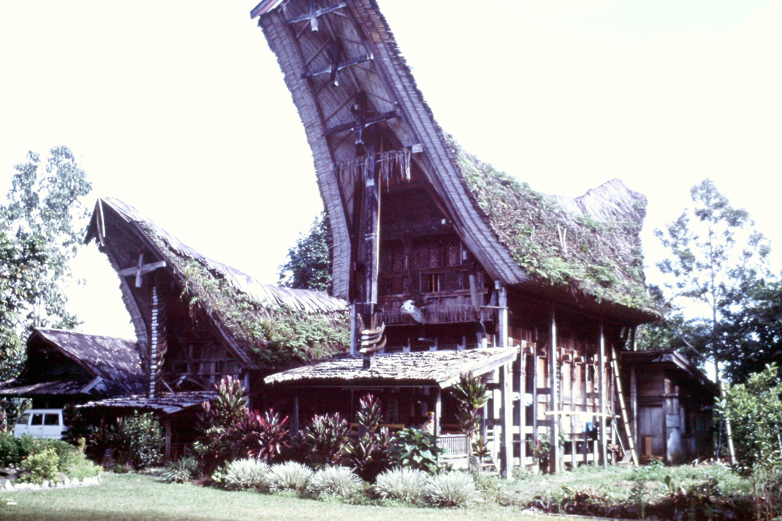 インドネシア・トラジャの伝統建築は森に浮かぶ海洋船だった（撮影：1998年4月）