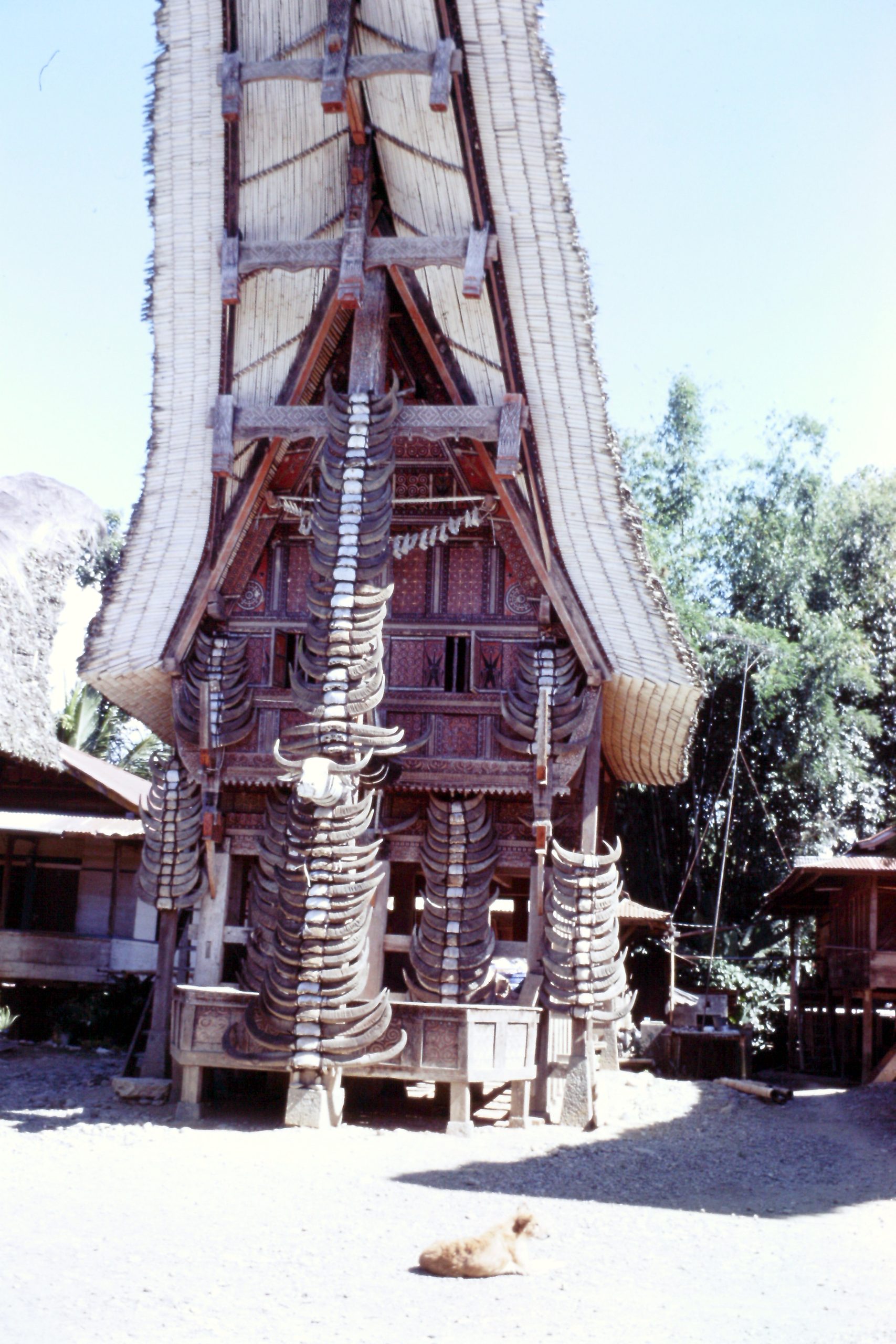 建物の正面に飾られた水牛の角が、誇らしさと静寂を醸しているトラジャの民家（撮影：1998年4月）